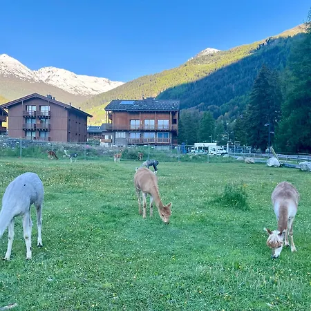 Isolaccia Aria Di Montagna Apartamento *